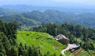 紫鹃界梯田 紫鹃界梯田